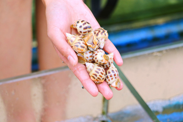 三亚最美的地方在哪里,三亚世界上最美的海在哪里