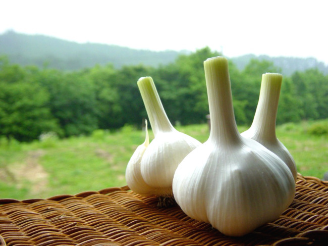 秋冬换季过敏性鼻炎怎么缓解,秋冬过敏性鼻炎该吃什么药