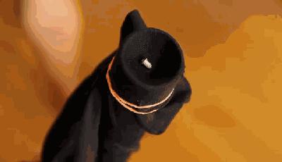 极具创意的生活小技巧很实用,18个超实用的生活小技巧收藏了