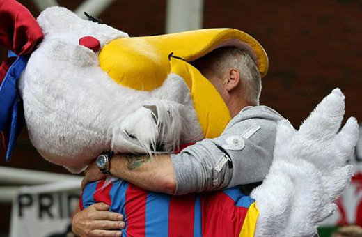 丑出新境界的图片,丑出新高度的狗