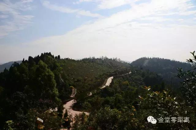 金堂健身不打烊,金堂健身步道完整版