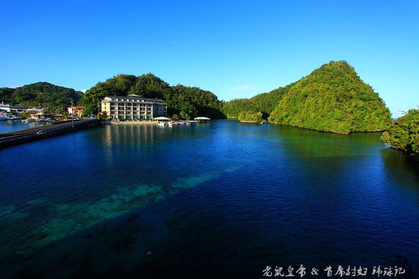 太平洋小小岛国帕劳貌似已被中国人全面占领