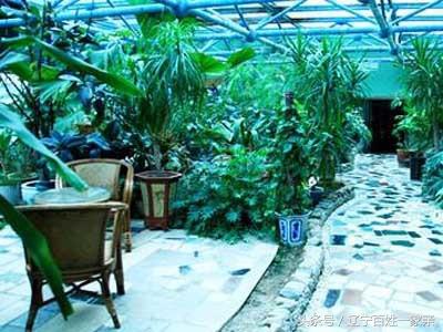 沈阳游泳洗浴自助餐一体的场所,沈阳十大温泉洗浴