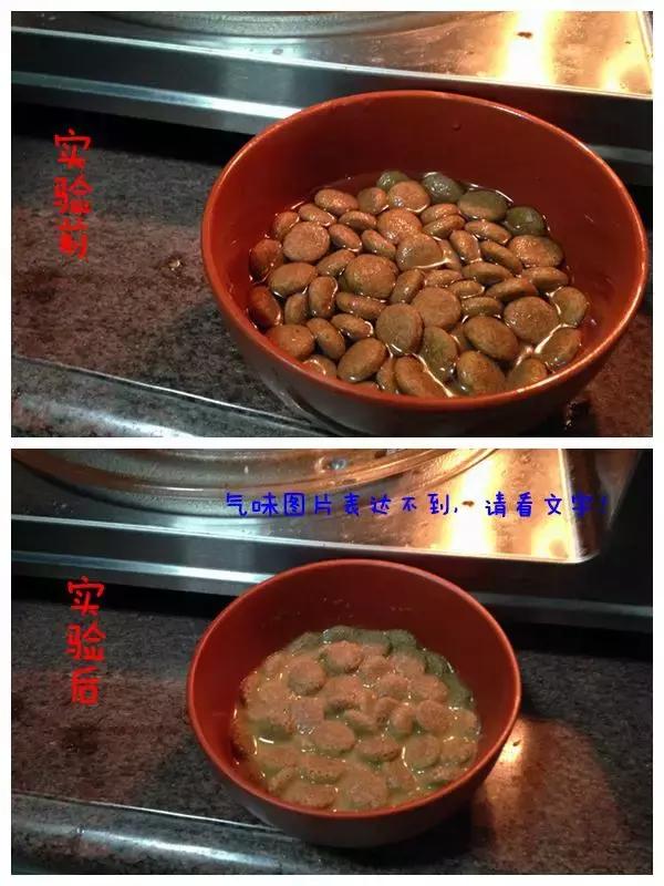 到底应该买什么狗粮,好的狗粮怎么买