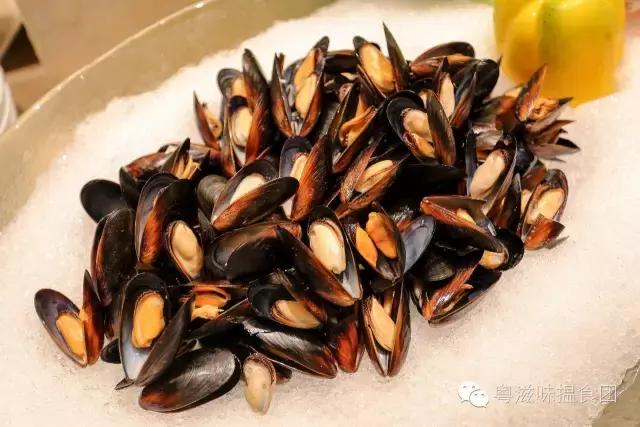 澳门五折酒店优惠券攻略,澳门假期酒店优惠团购