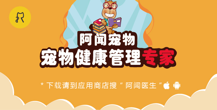 猫咪喂养常识及技巧,猫咪各年龄段照顾细则