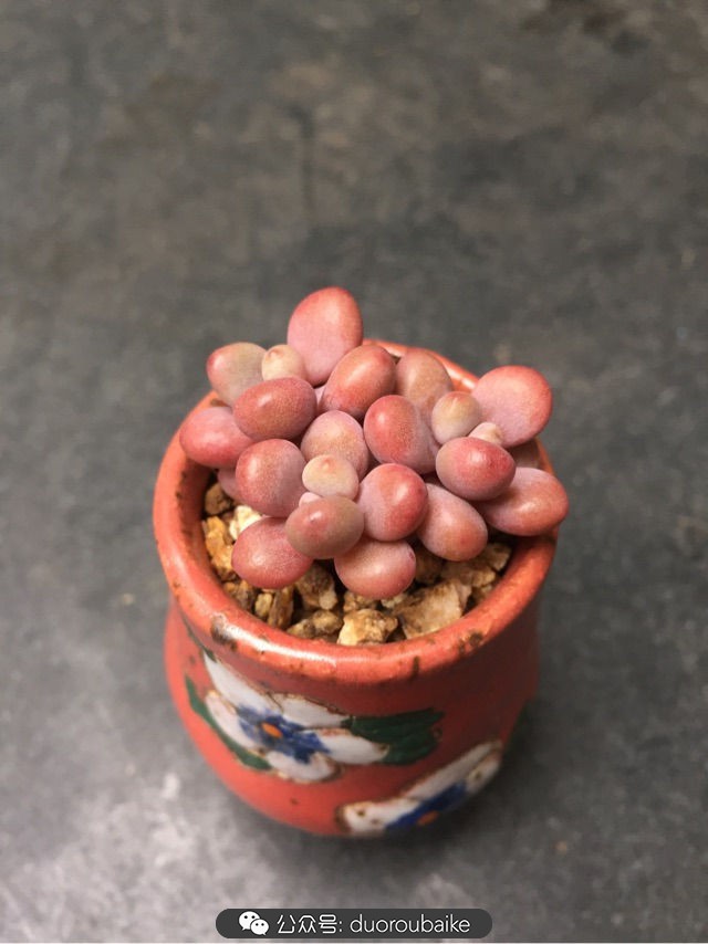 谈谈我的看法和感想,谈谈我对自己的看法