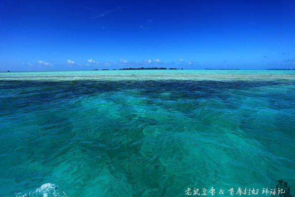 彩虹王国美术作品,彩虹王国紫色