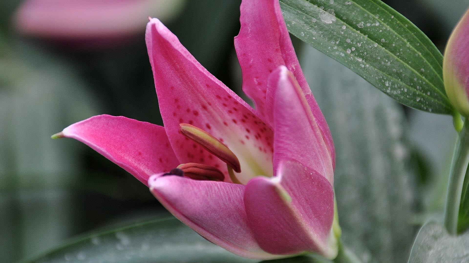 精致美女，肚脐又红又痒，仔细一问，才知道是1种习惯惹的祸