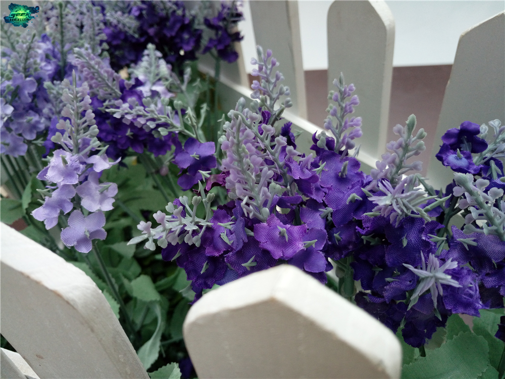 楣扮殑鐪肩潧璞圭殑閫熷害鍑鸿嚜鍝儴鍔ㄧ敾,vivox6鎬ц兘娴嬭瘯