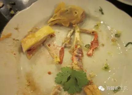 狗狗的十大食物,狗狗禁忌食物一览表