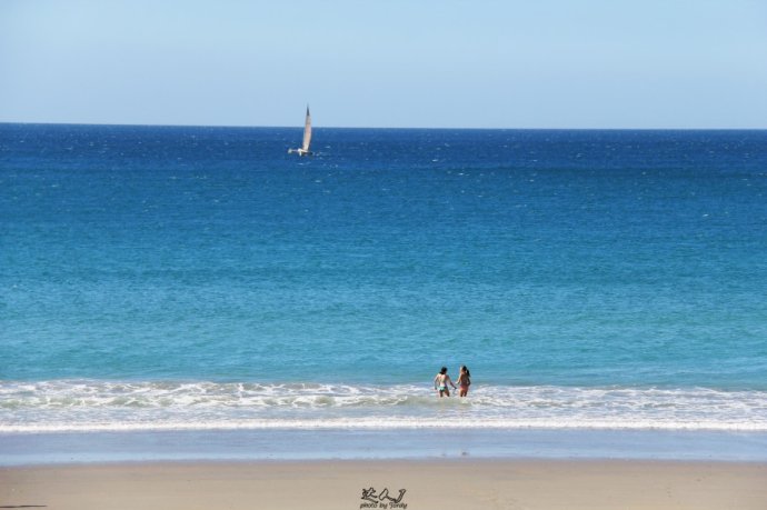 到怀希基岛,品酒-看海