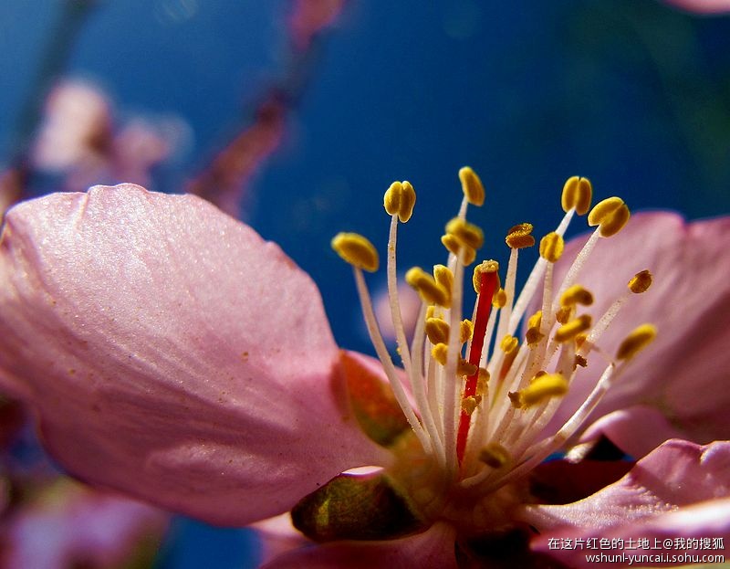 卡片机能拍出大片吗,卡片机能拍出压缩感吗