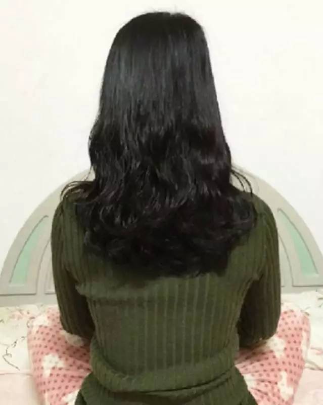 俩单身狗和一只傲娇猫，遇上植观之后.......