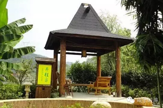 湖北咸宁太乙温泉近况,咸宁太乙温泉重新开放了吗