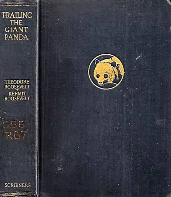 功夫熊猫是四川熊猫还是秦岭熊猫,为什么熊猫是中国的国宝