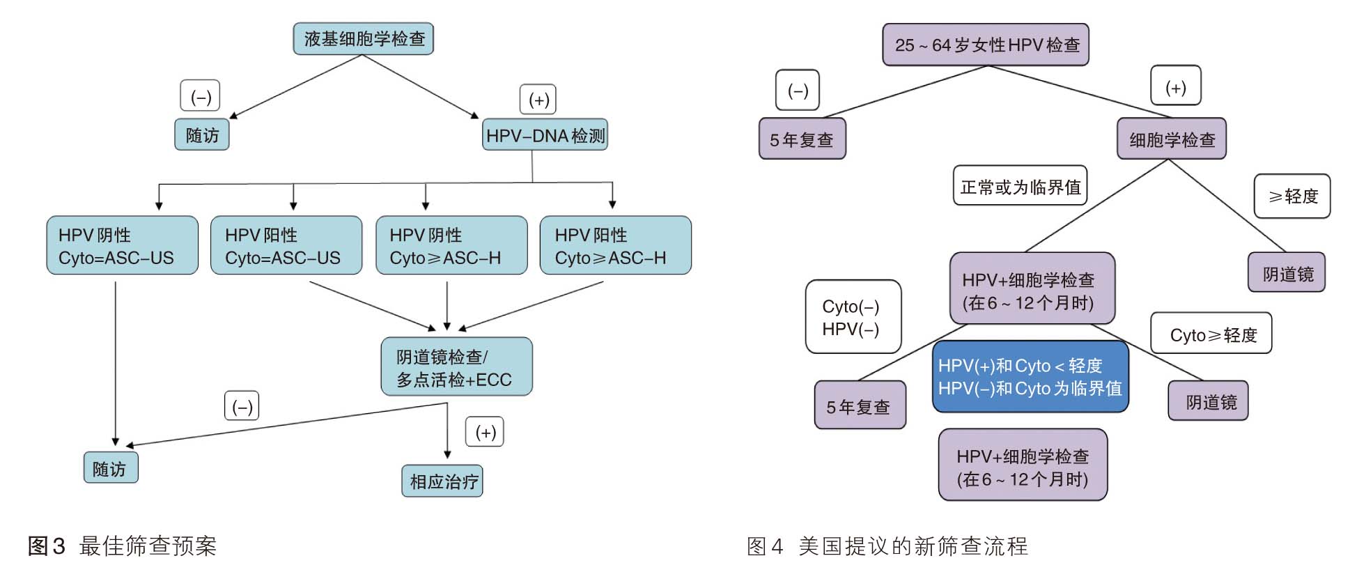 宫颈癌：你不知道的和该知道的