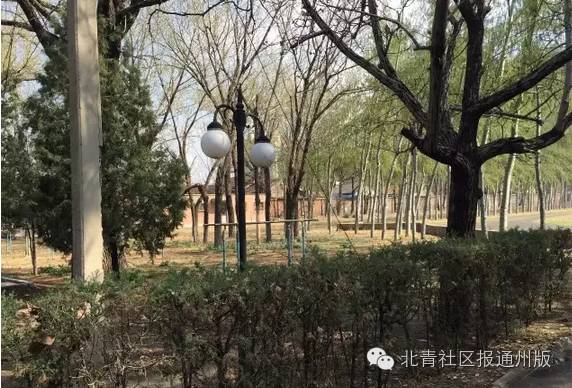 首师大附属中学通州校区,北京首师大附属中学通州校区场景