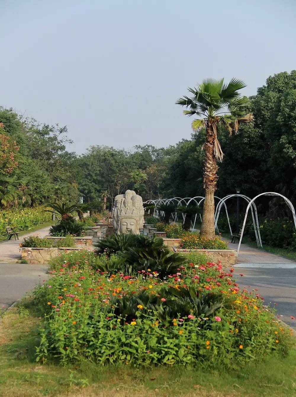 原来在宿舍也可以这么快乐,原来在大连也可以享受洱海