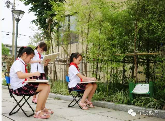 宁波十大重点小学排名,宁波十大小学