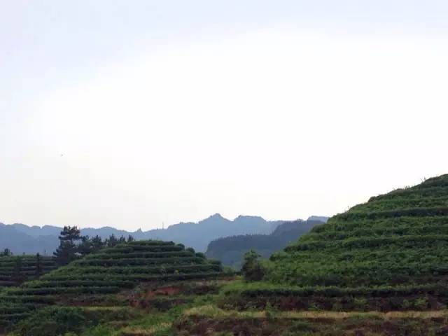 圣灯山老场镇风貌改造项目,圣灯山镇未来5年规划