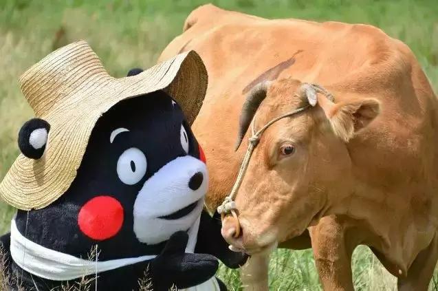 明明不漂亮但是越看越吸引人,明明很漂亮但是不上镜怎么办