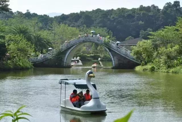 想在佛冈嗨翻天?这条路线一定让你热血沸腾!
