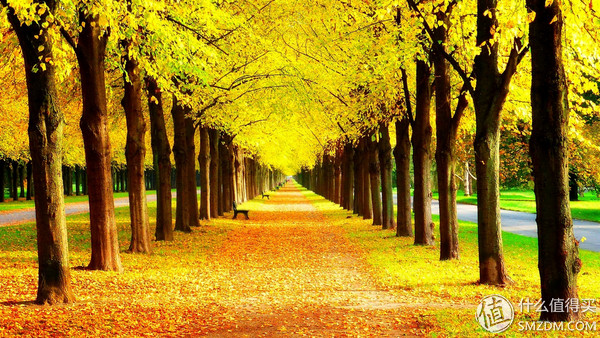 最佳ips屏幕笔记本推荐,高分屏笔记本和ips屏幕哪个好