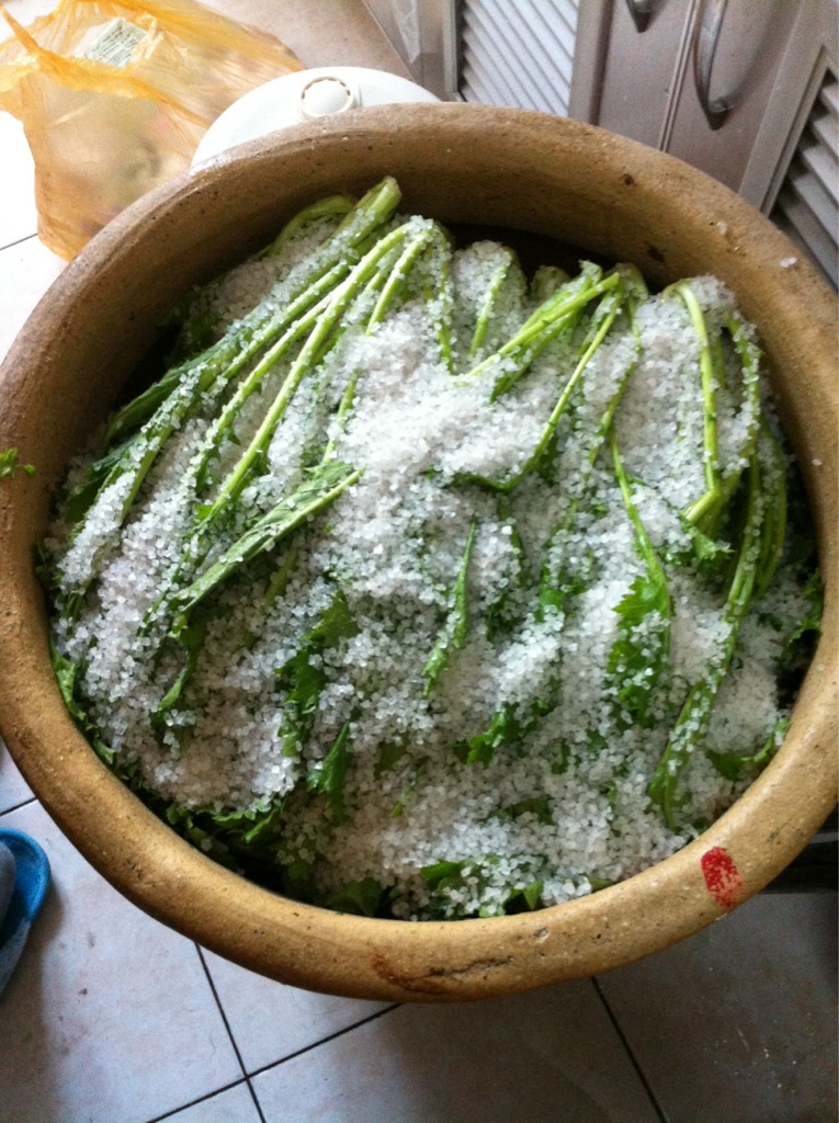 你想不想吃蛋炒饭,雪里红炒肉沫配米饭