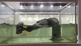 工博会看什么视频,工博会展示最新视频