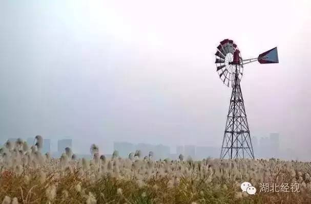 武汉秋天不可错过的美景,武汉踏春打卡地