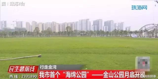珠海现在还有哪些公园,美爆了的景点