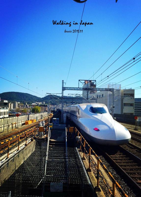 霓虹国秋日暴走之旅,漫步日本旅行游记