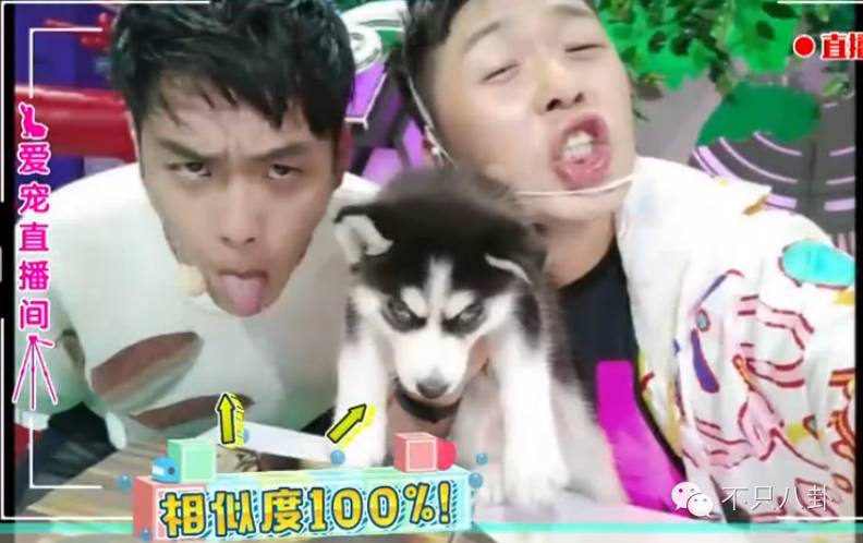 张若昀演的唐山海是什么电视剧,张若昀唐山海美照