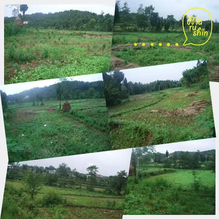 农心|一起向匠人精神致敬!