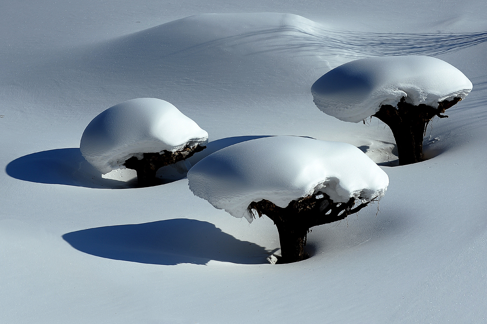 哈尔滨冰雪节假期取消了吗,哈尔滨冰雪节政府放假通知