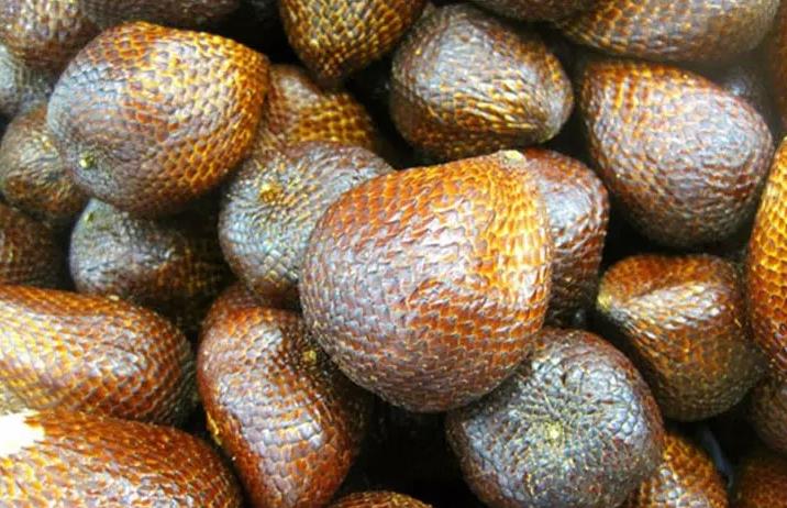 越南的水果有哪些,越南的水果就是与众不同