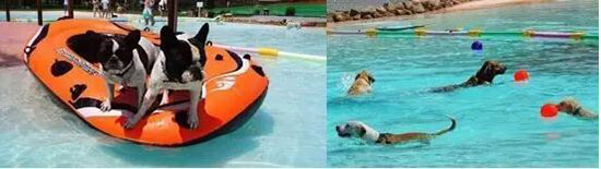 文创激发创新创业热情,文创融合化发展趋势