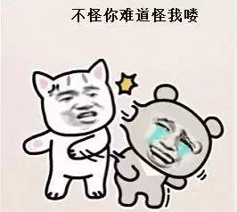 上海人骑共享自行车,现在上海共享单车怎样使用