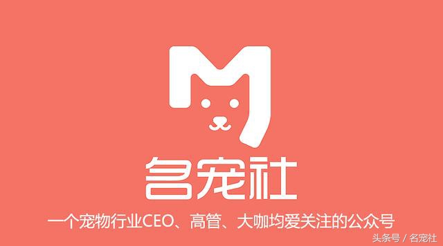 成都金毛cku国际认证犬舍,金毛拉布拉多犬舍全国直发