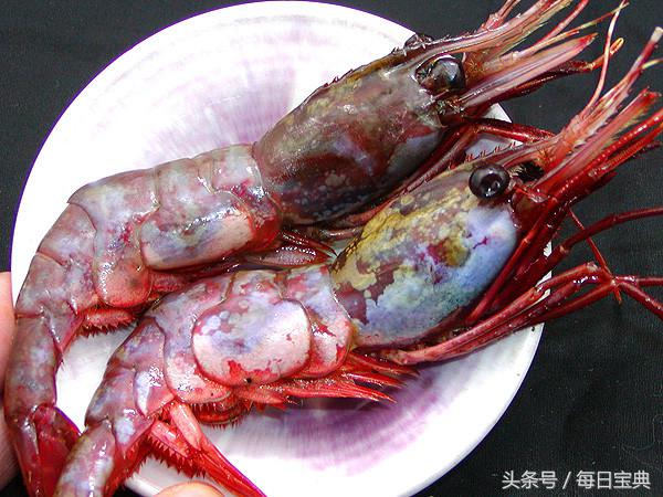 舌尖上的龙虾,品尝正宗龙虾美食的感受