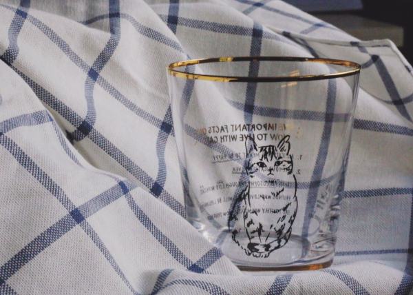 近期最爱｜是这些小可爱让我活在童话里