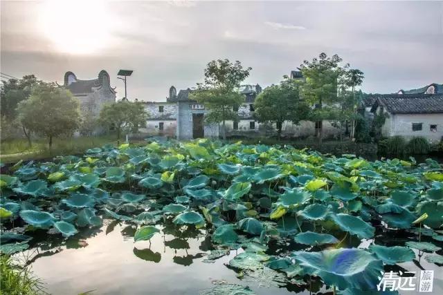 想在佛冈嗨翻天?这条路线一定让你热血沸腾!