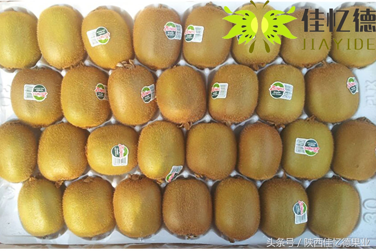 花了1500元买了张VIP门票，他带着商南猕猴桃走进了会场