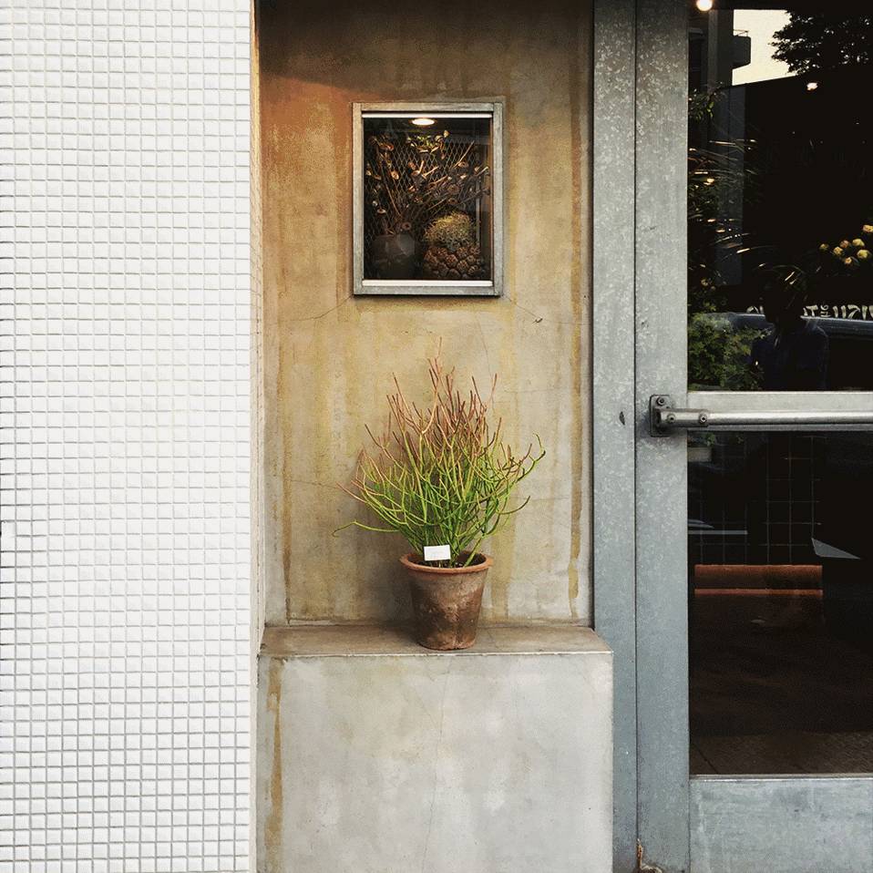 十万步走出的东京花店