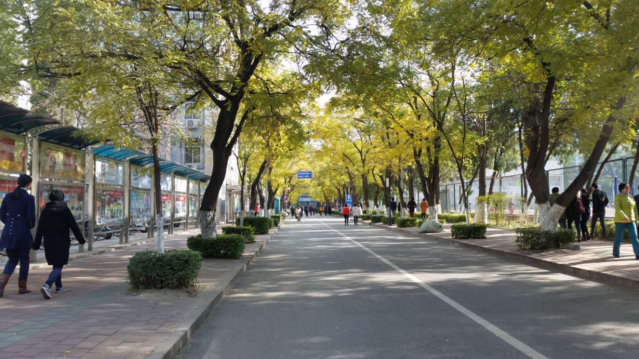 走进北师大,走进京师校园