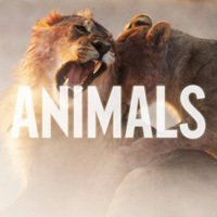 全球1000首必听英文歌曲,世界上最好听英文歌曲中文版