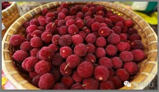 带你吃遍云霄美食,舌尖上的云霄