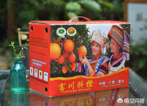 橙子的简介及作用,登乐现场女主唱橙子简介