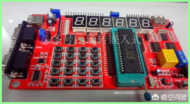 一个馒头引发的血案,一个馒头引发的血案你看懂了吗